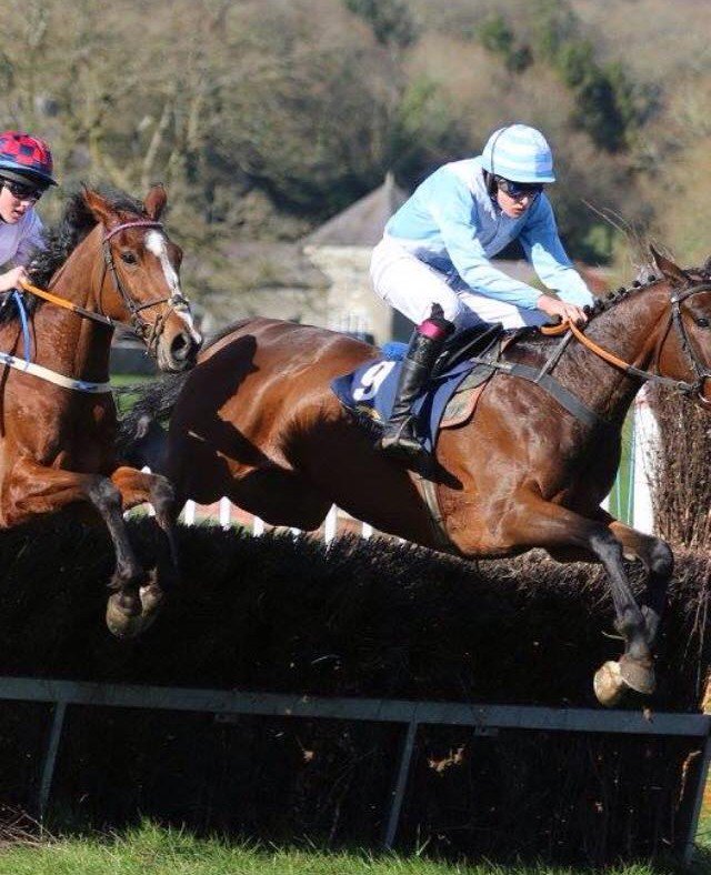 Shane in a point to point for Willie Murphy